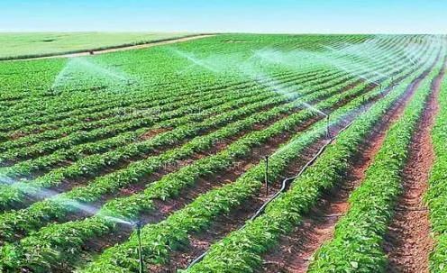 操骚屄视频在线观看农田高 效节水灌溉